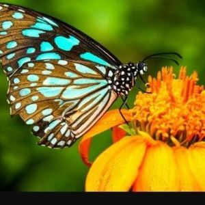 Meet your Posher, Eli