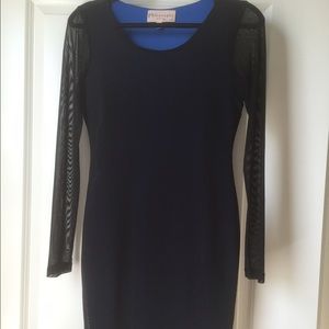 Small Philosophy Sheer Long Sleeve Dress