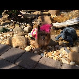 Meet your Posher, Sandy