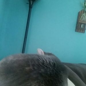 Meet your Posher, Christal