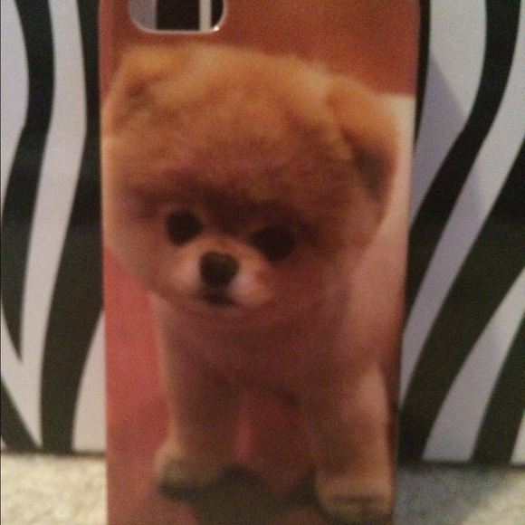 iPhone 5/5s case