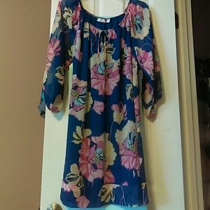 Eva Mendes- Bridgette Chiffon Dress New York & Co