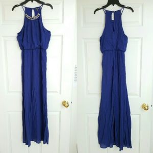 Maxi Dress (Never Worn)