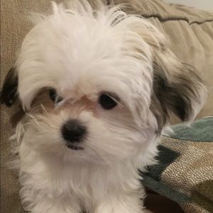 Meet your Posher, Fernanda