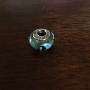 Blue lady bug pandora charm