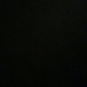 Meet your Posher, Bridget