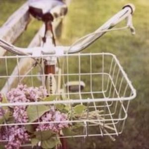 Meet your Posher, Tara