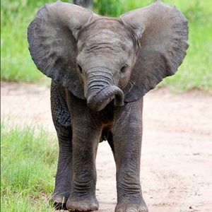 Meet your Posher, Marisol