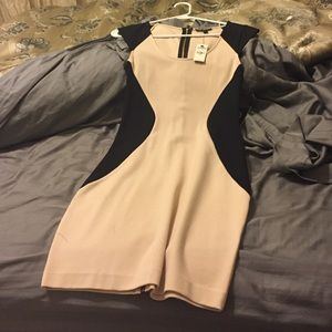 Express dress never worn