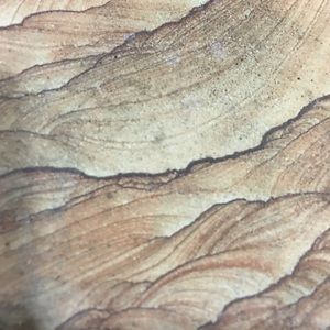 Meet your Posher, Tim