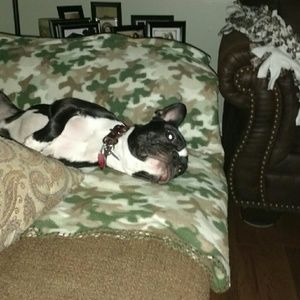 Meet your Posher, Terri