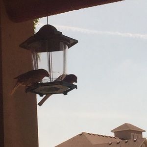 Meet your Posher, Raquel