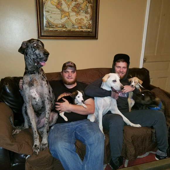 Meet your Posher, Nancy - Picture 2 of 3