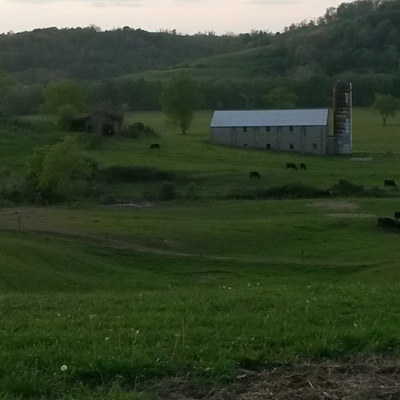 Meet your Posher, Nancy - Picture 3 of 3