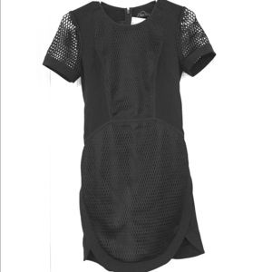 Adorable Mesh Banana Republic Dress