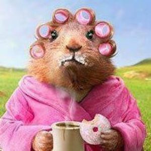 Meet your Posher, Carol