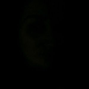 Meet your Posher, Rachael