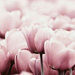 Meet your Posher, Mirthala