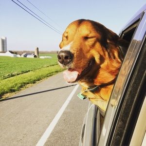 Meet your Posher, Janna