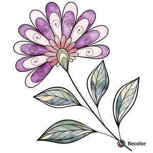 Meet your Posher, Paula