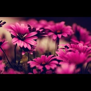 Meet your Posher, Evann