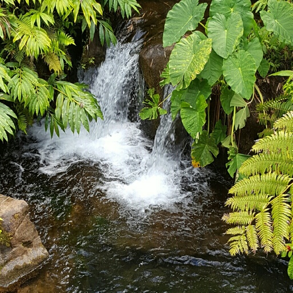 Meet your Posher, Kim - Picture 1 of 1