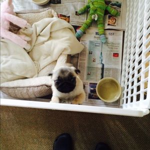 Meet your Posher, Leigh