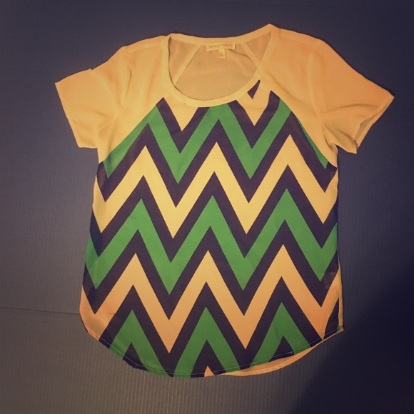 Sheer boutique blouse.