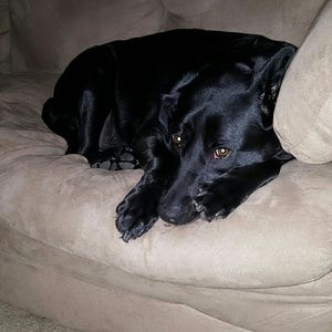 Meet your Posher, Stacy