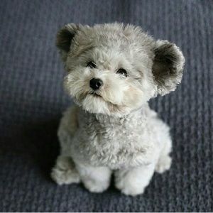 Meet your Posher, Laurel