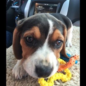 Meet your Posher, Laura