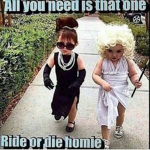 Meet your Posher, Dawn