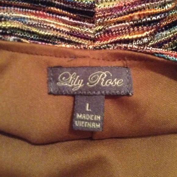 Sexy Tight Sress by Lily Rose - Picture 4 of 4