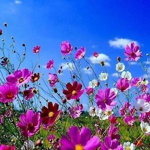 Meet your Posher, Martha