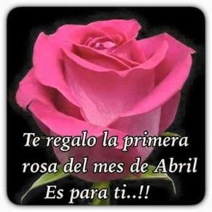 Meet your Posher, Silvia