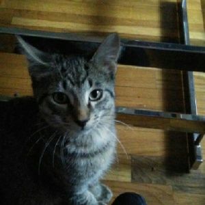 Meet your Posher, Doreen