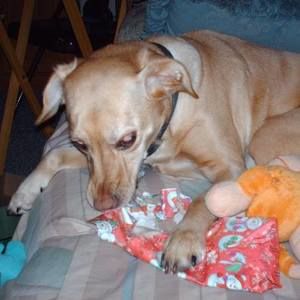 Meet your Posher, Julie