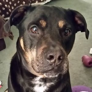 Meet your Posher, Melanie