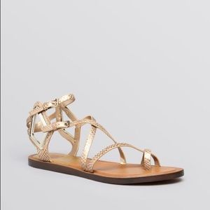Dolce Vita "Ferrah" Sandal