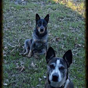 Meet your Posher, Linda