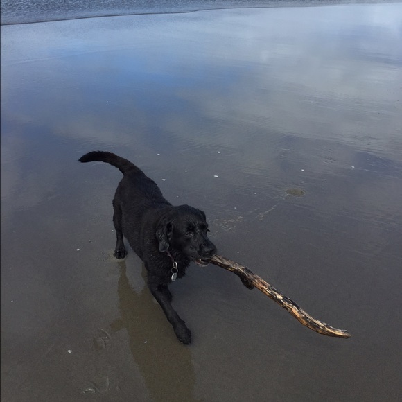 Hi folks! - Picture 4 of 4