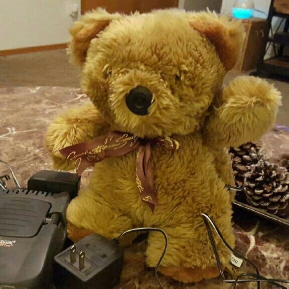 Babysitter cam