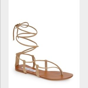 Brand new never worn Steve Madden gladiators