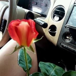 Meet your Posher, Leigh