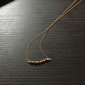 Gorjana necklace