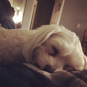 Meet your Posher, Catherine