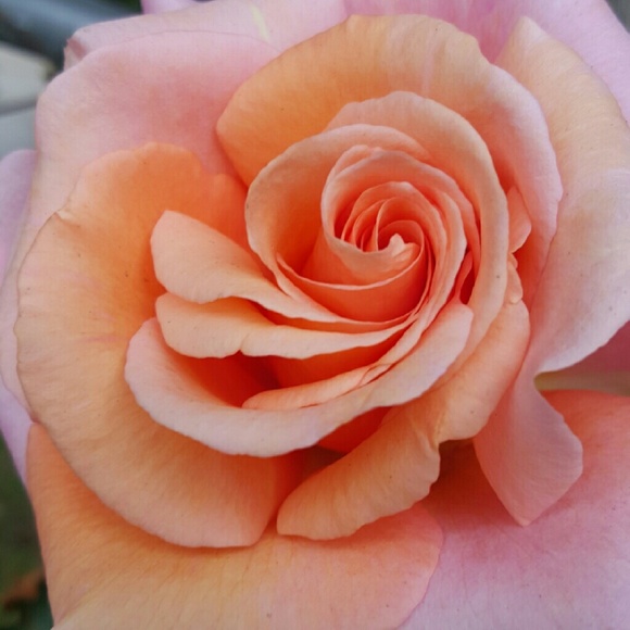 🎁DESIGNER BAGS, WALLETS, BRACELET AND MORE🎁 - Picture 2 of 3