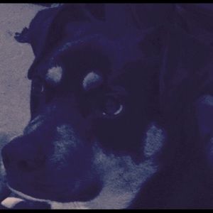 Meet your Posher, Delaney