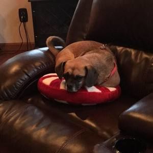 Meet your Posher, Kelly