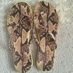 TKEES  Lipliners Lime Venom